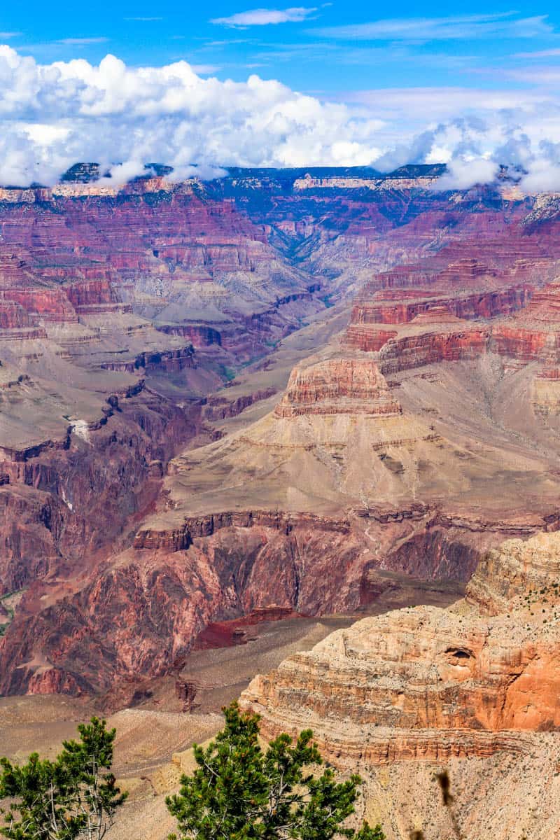 Layered buttes below bright clouds in Grand Canyon National Park, with Pine trees visible.