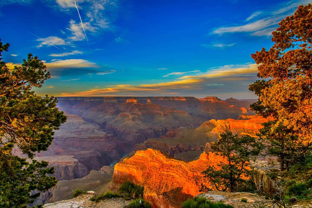 Grand Canyon sunset framed by pine branches beside Blue sky in Grand Canyon National Park, Arizona, United States.